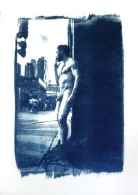 Cyanotype Print – 8x11 in (Unframed)